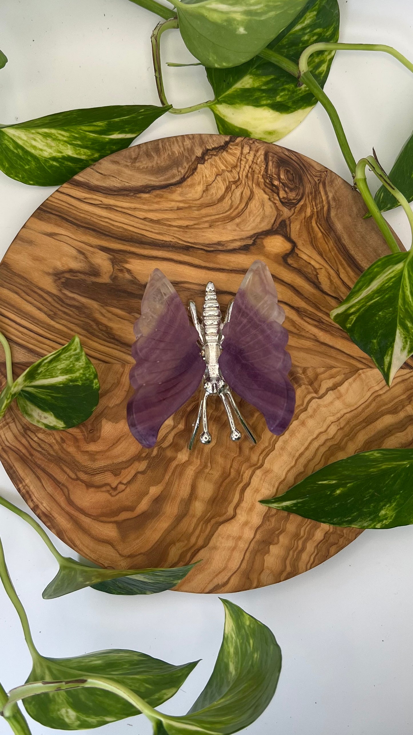 Fluorit Schmetterling (#13)