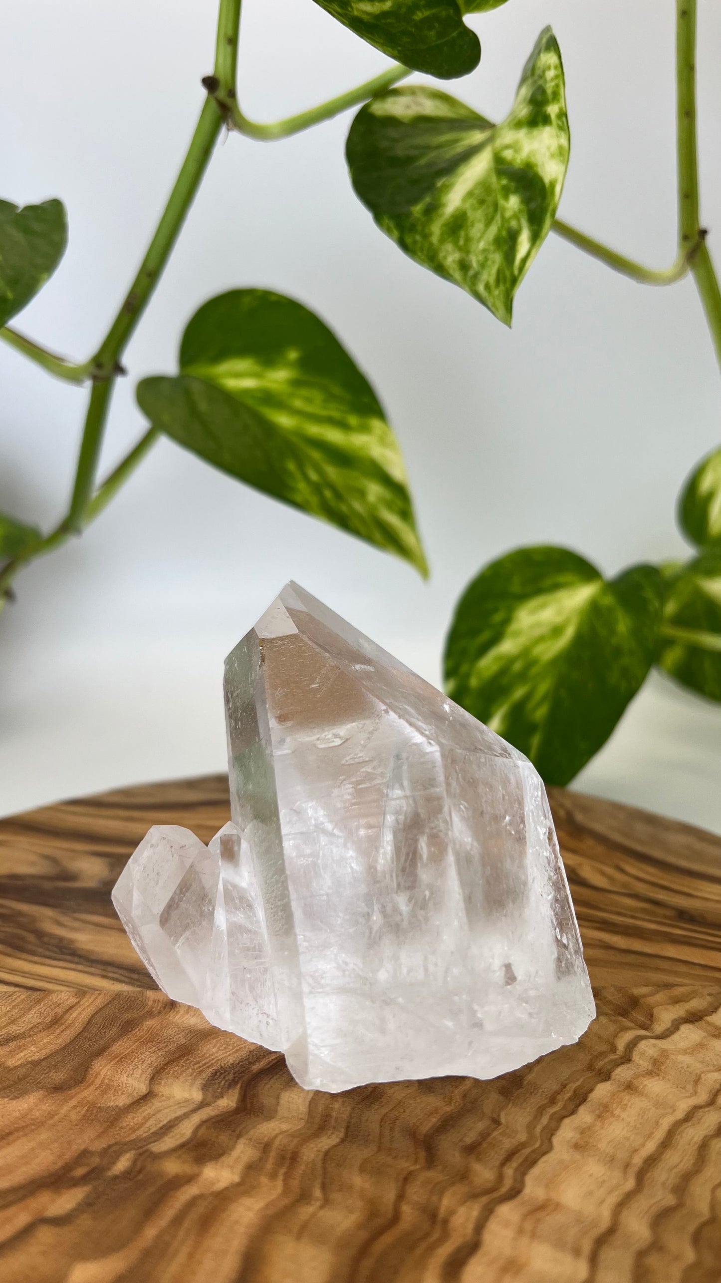 Bergkristall Spitze (#13)