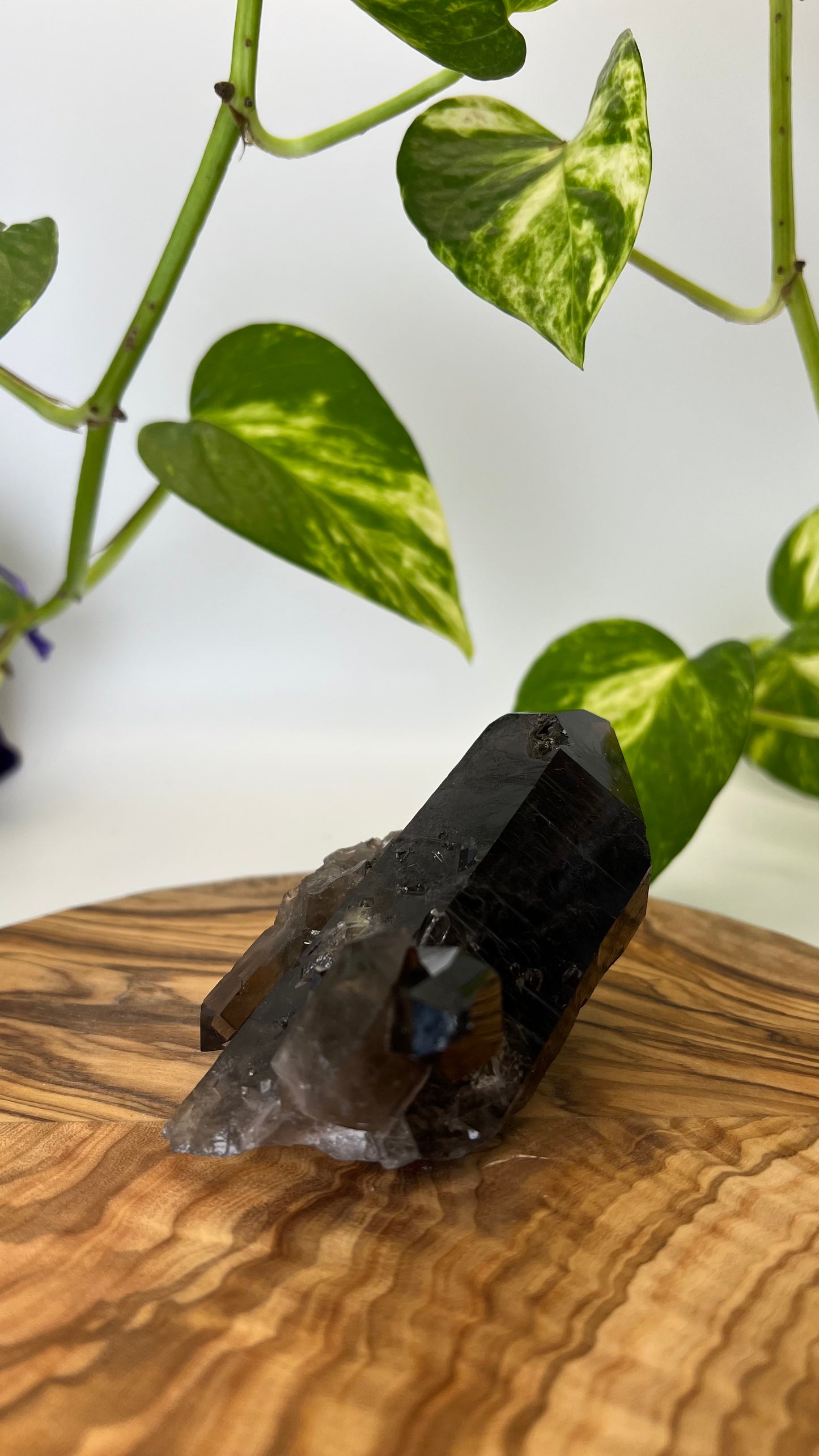 Rauchquarz Spitze (#3)