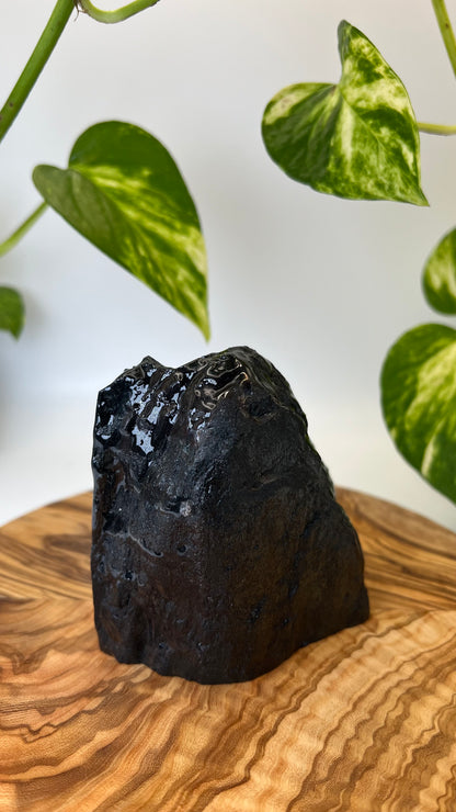 Specularit Stand Up (#1)