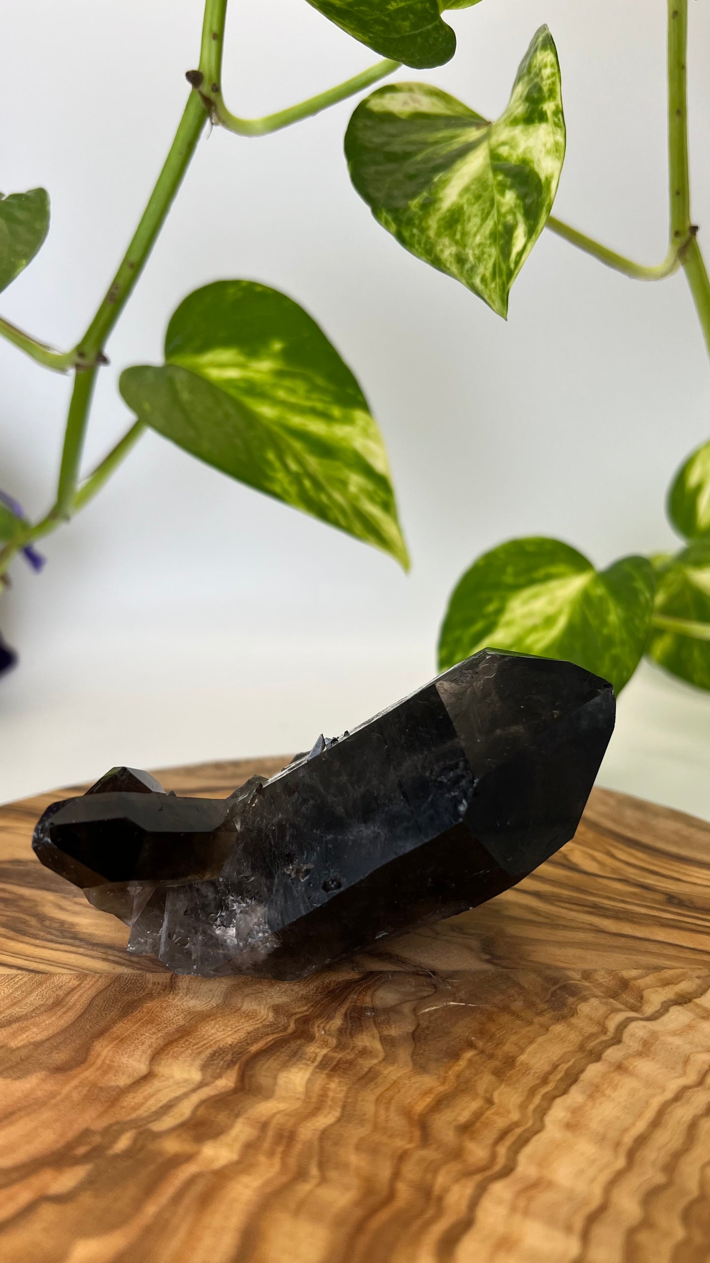 Rauchquarz Spitze (#3)