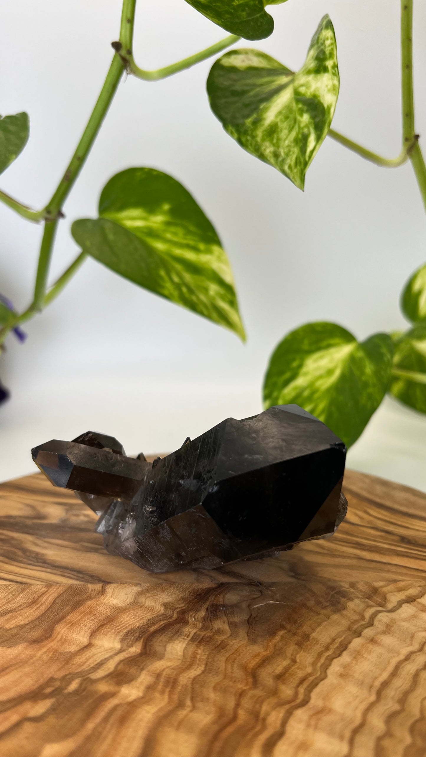 Rauchquarz Spitze (#3)