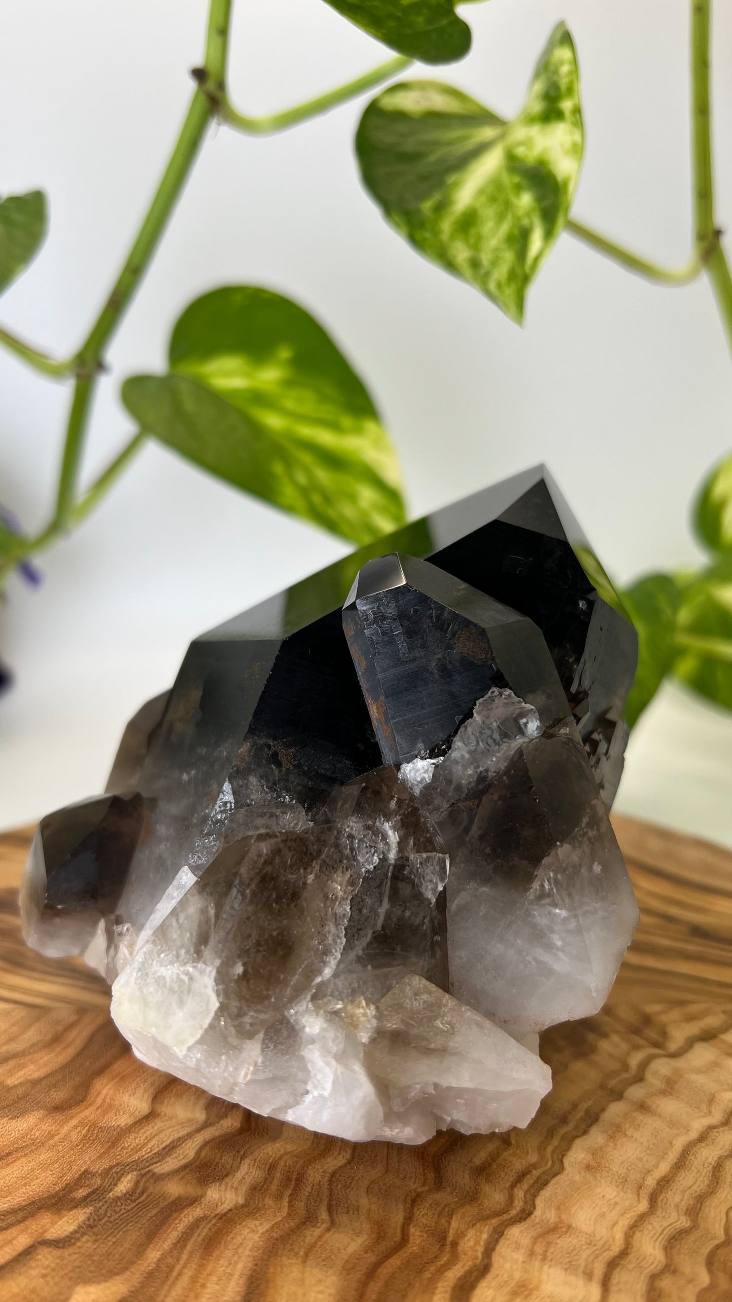 Rauchquarz Spitze (#4)