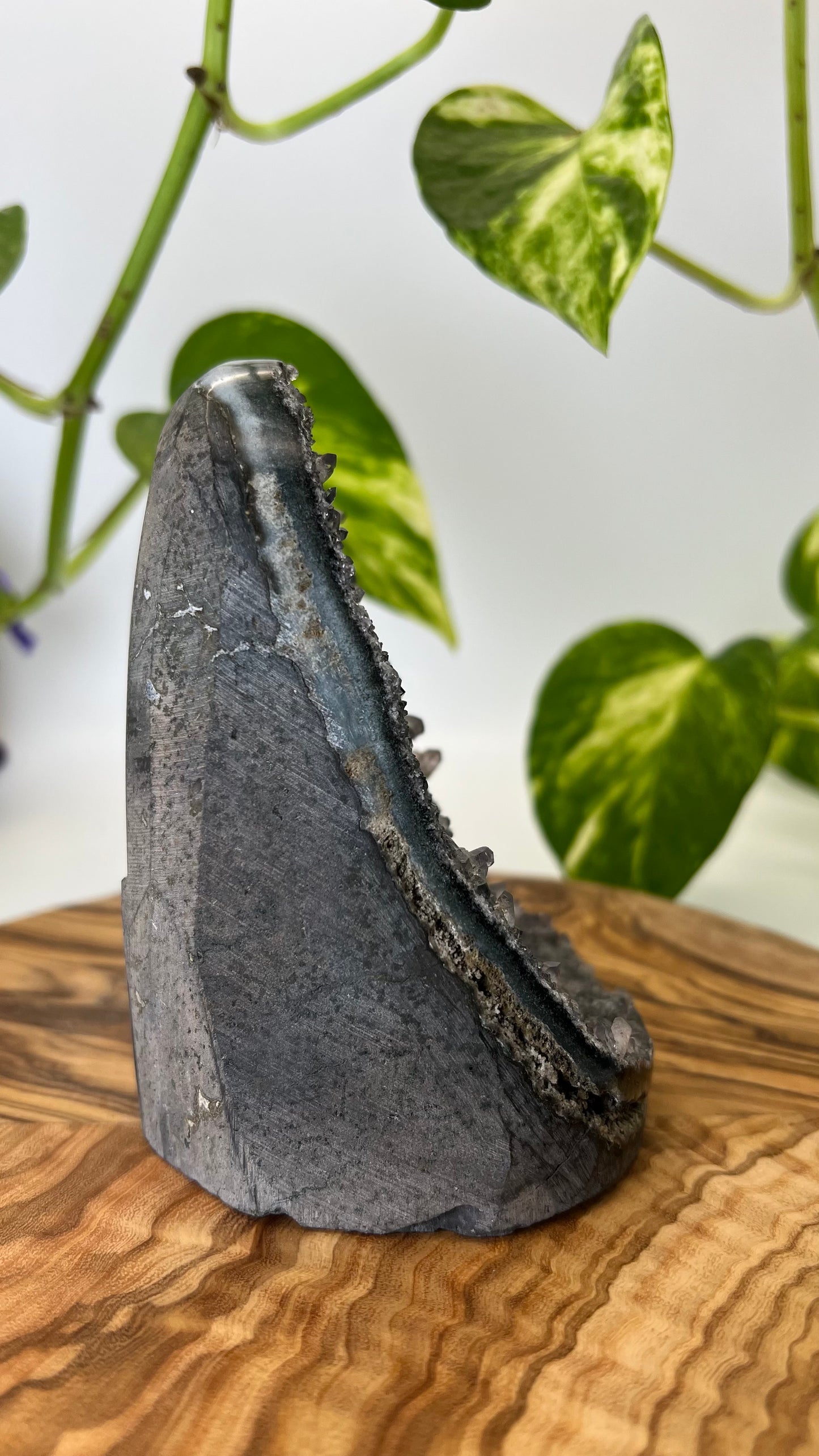 Schwarzer Amethyst (#1)