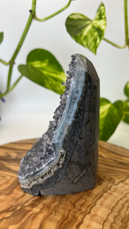 Schwarzer Amethyst (#1)