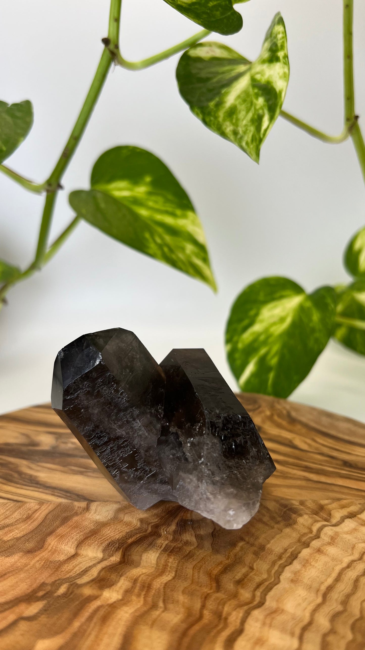 Rauchquarz Spitze (#8)