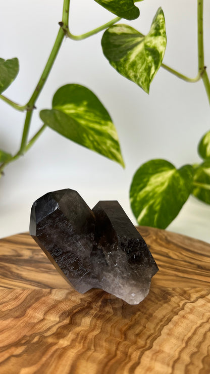 Rauchquarz Spitze (#8)