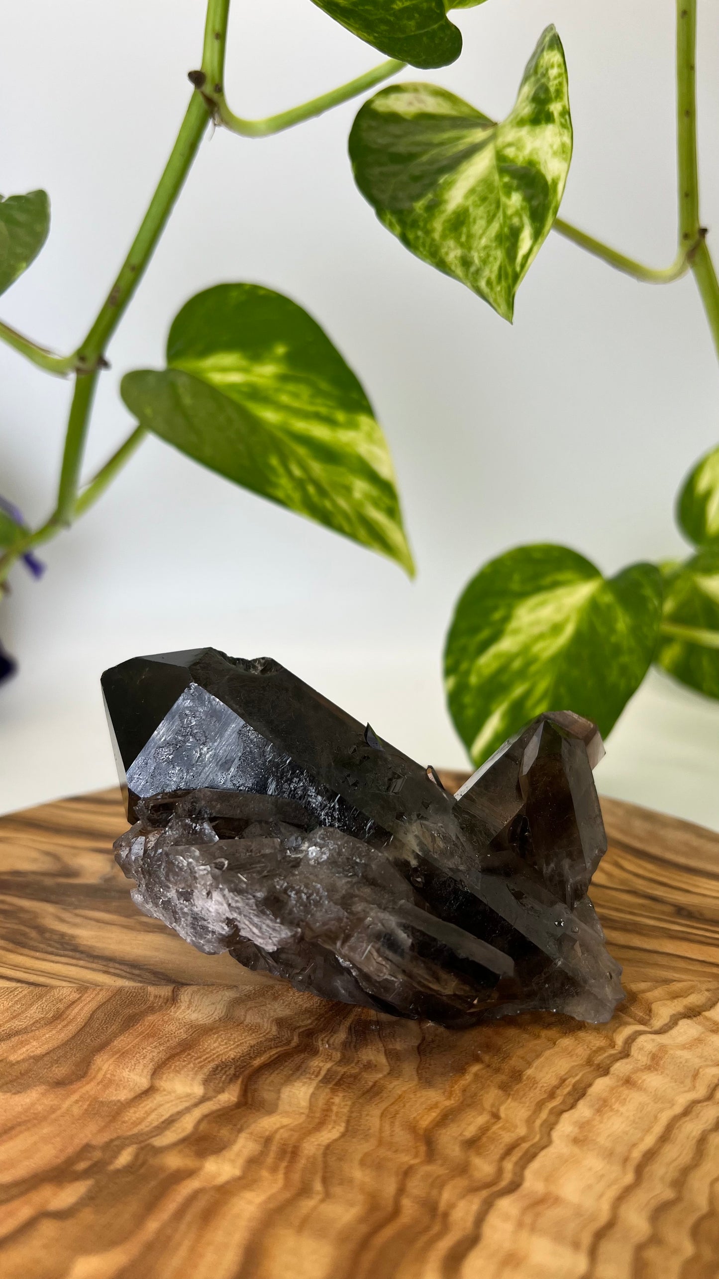 Rauchquarz Spitze (#3)