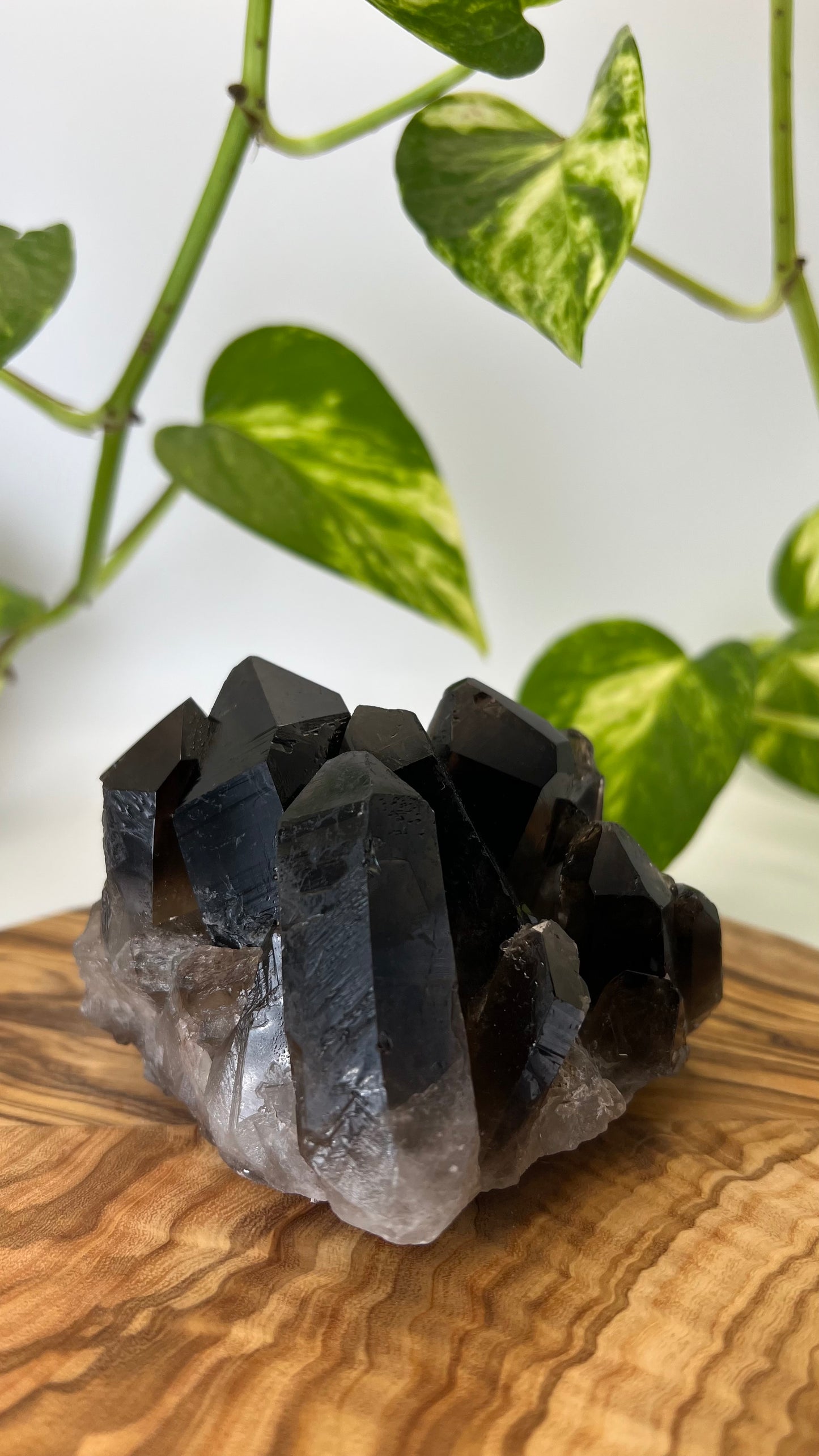 Rauchquarz Spitze (#6)