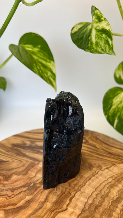 Specularit Stand Up (#1)