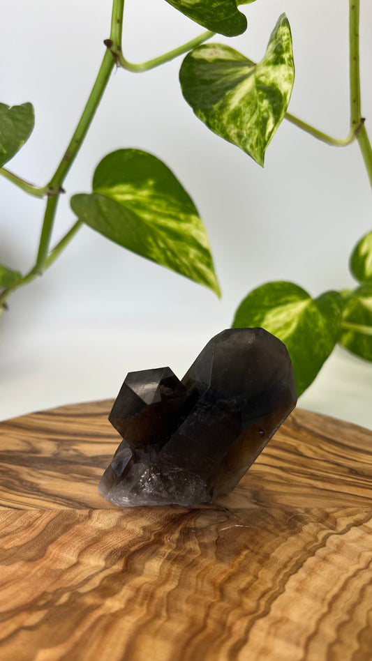 Rauchquarz Spitze (#8)