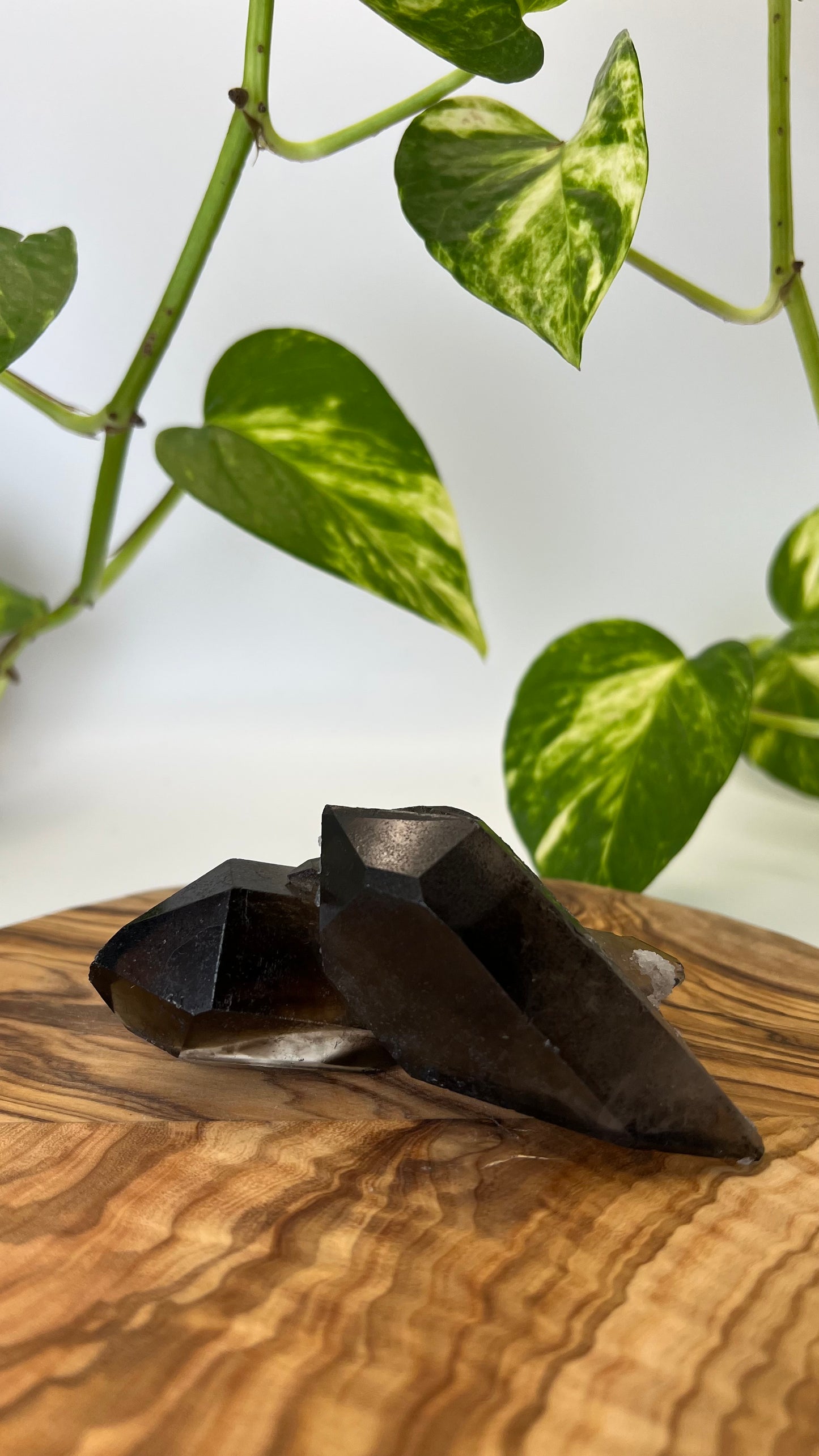 Rauchquarz Spitze (#7)