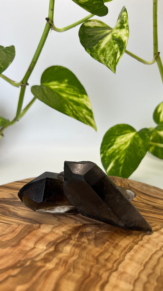 Rauchquarz Spitze (#7)