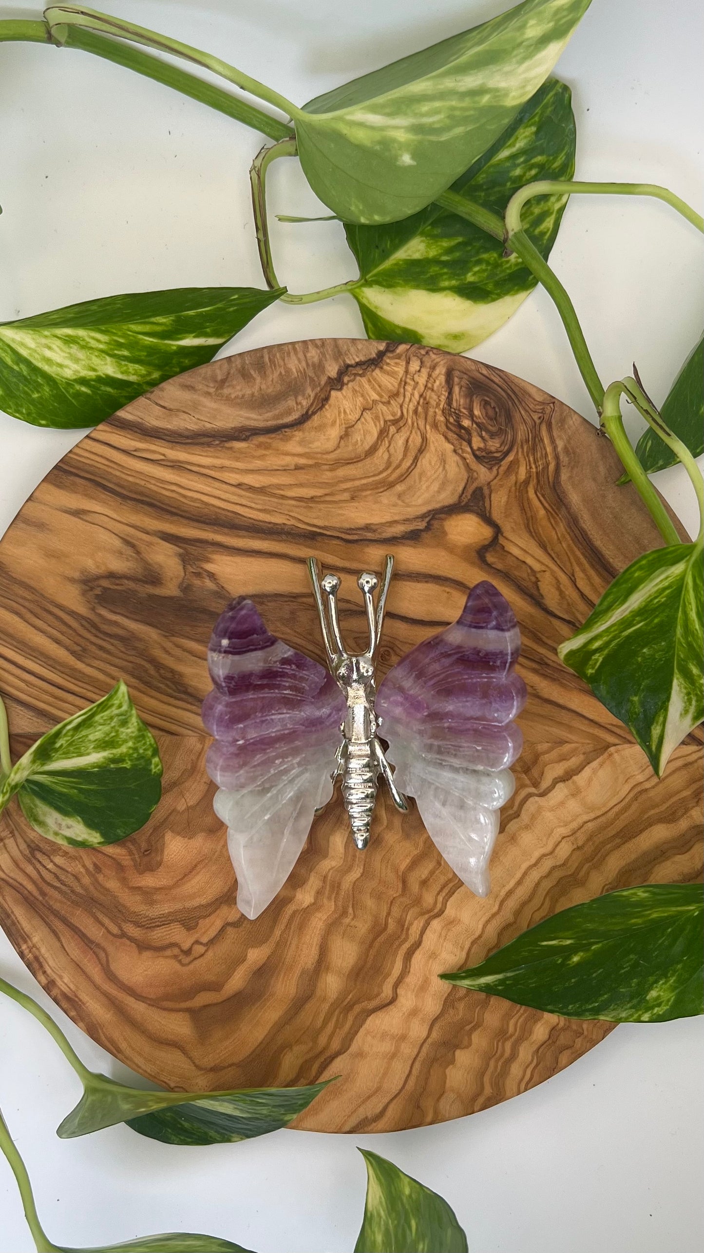 Fluorit Schmetterling (#14)