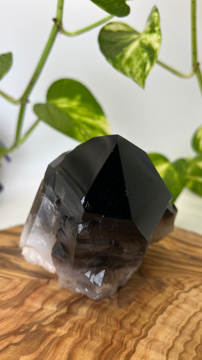 Rauchquarz Spitze (#4)