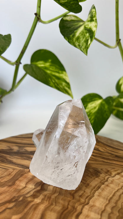 Bergkristall Spitze (#13)