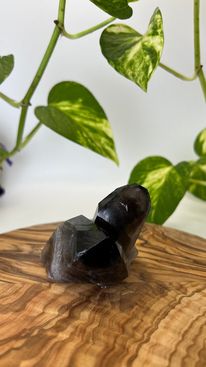 Rauchquarz Spitze (#5)