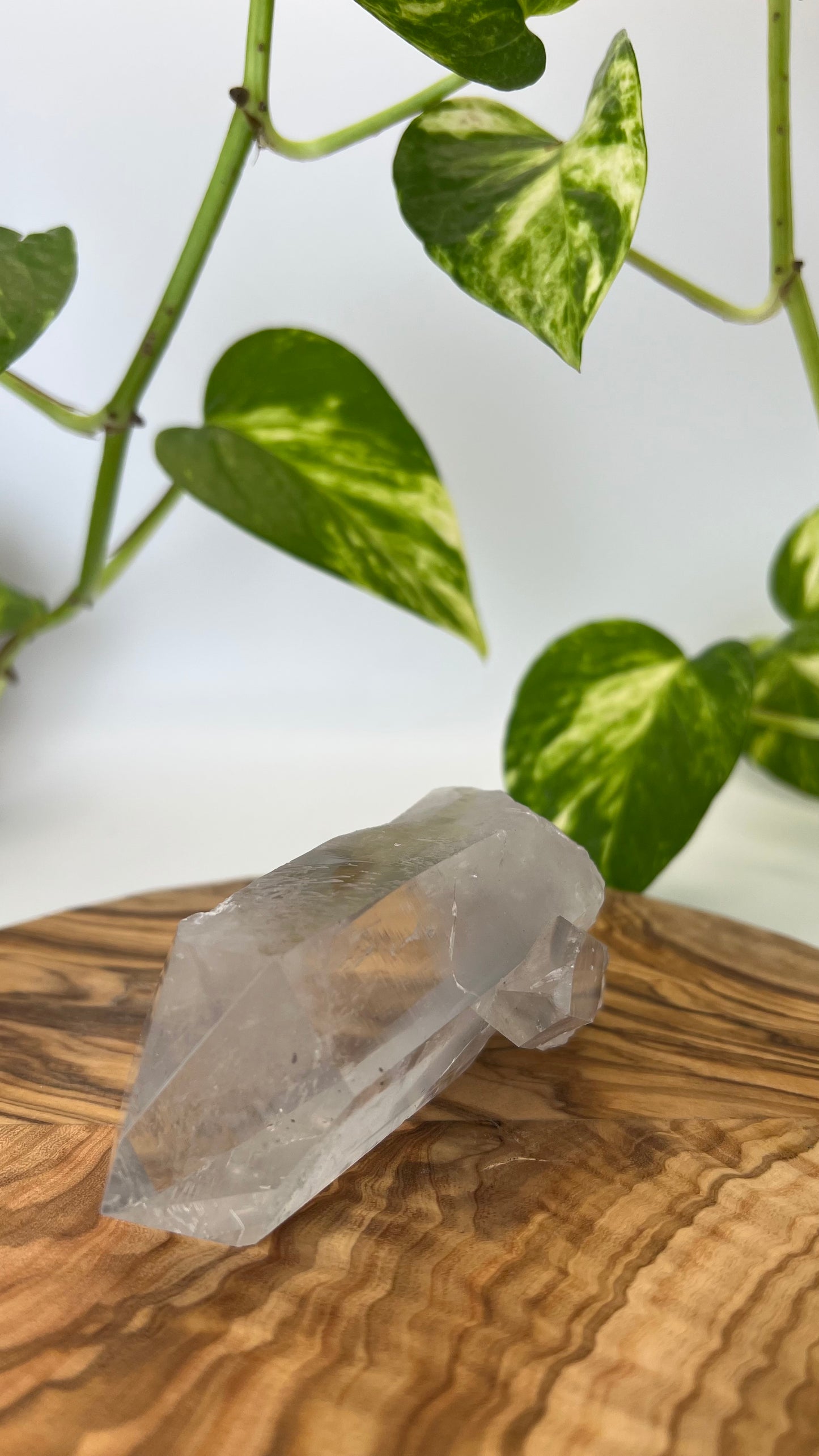 Bergkristall Spitze (#12)