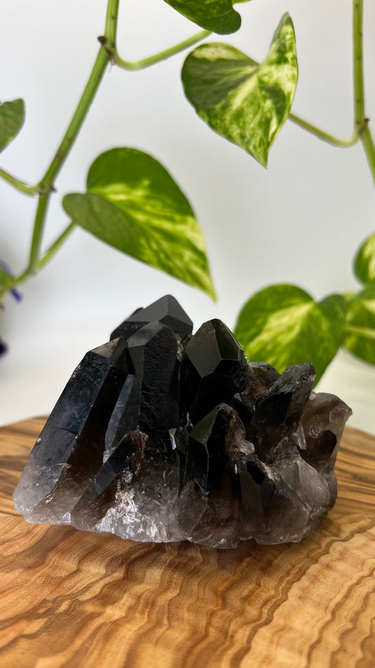 Rauchquarz Spitze (#6)