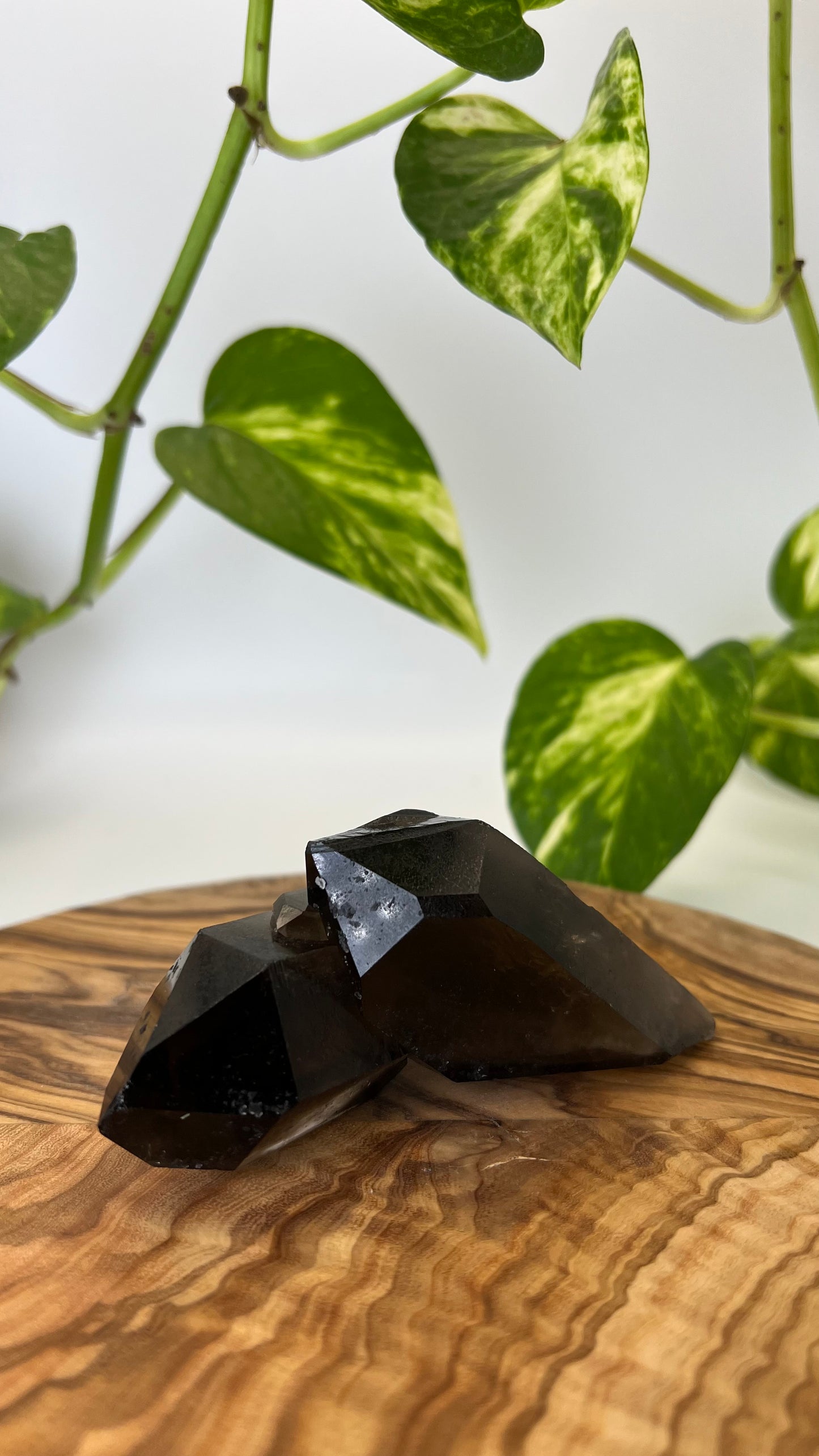 Rauchquarz Spitze (#7)