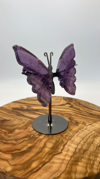 Fluorit Schmetterling (#24)