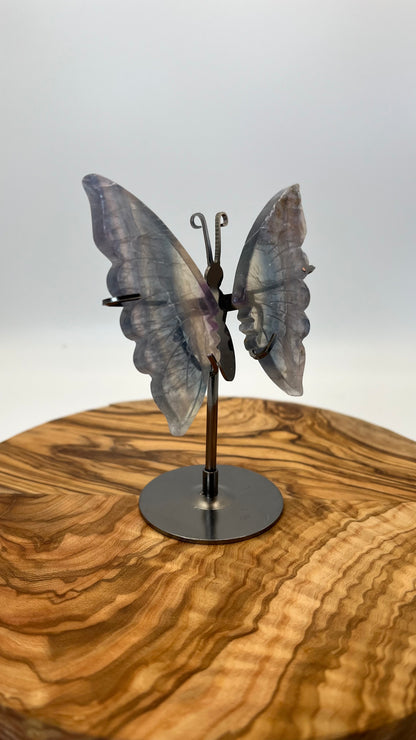 Fluorit Schmetterling (#25)