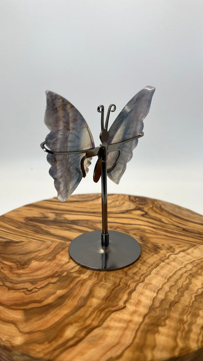 Fluorit Schmetterling (#25)