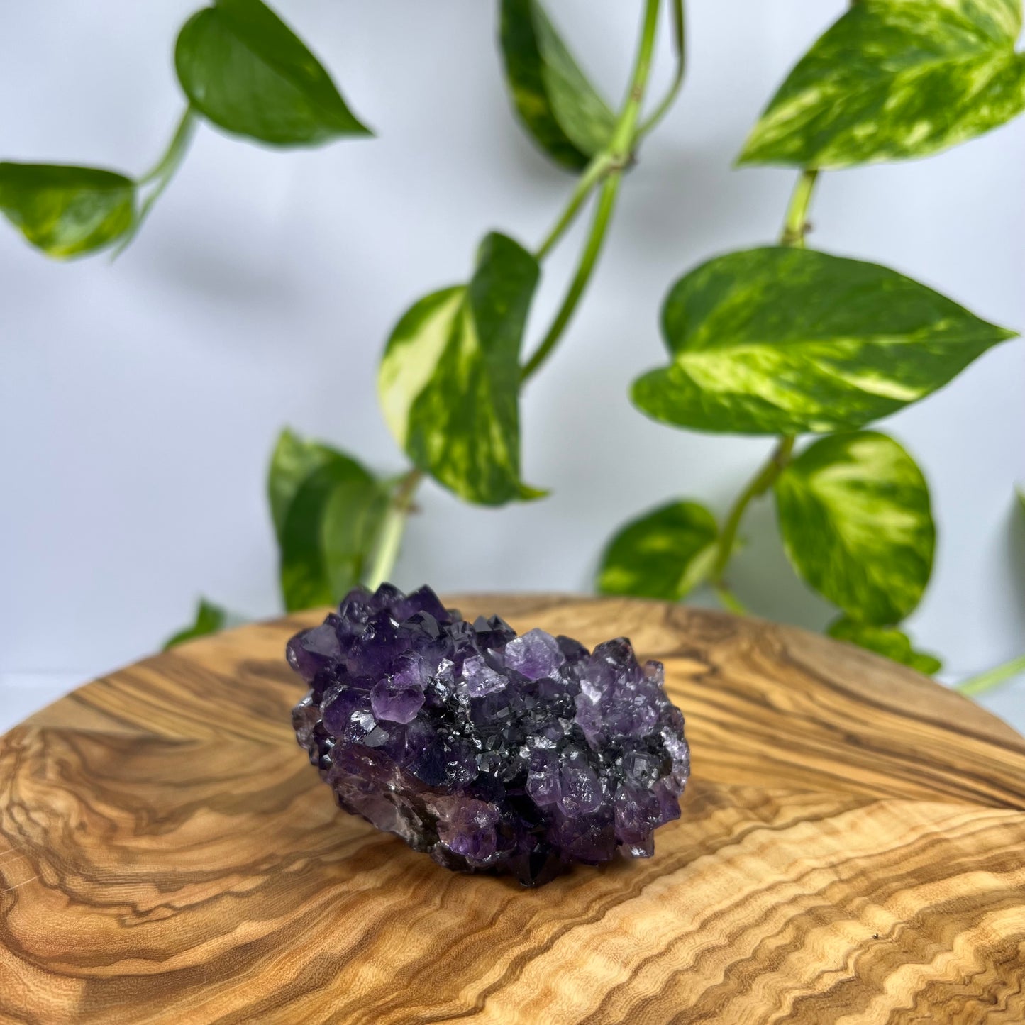 Amethyst Stück (#10)