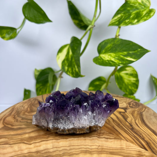 Amethyst Stück (#7)