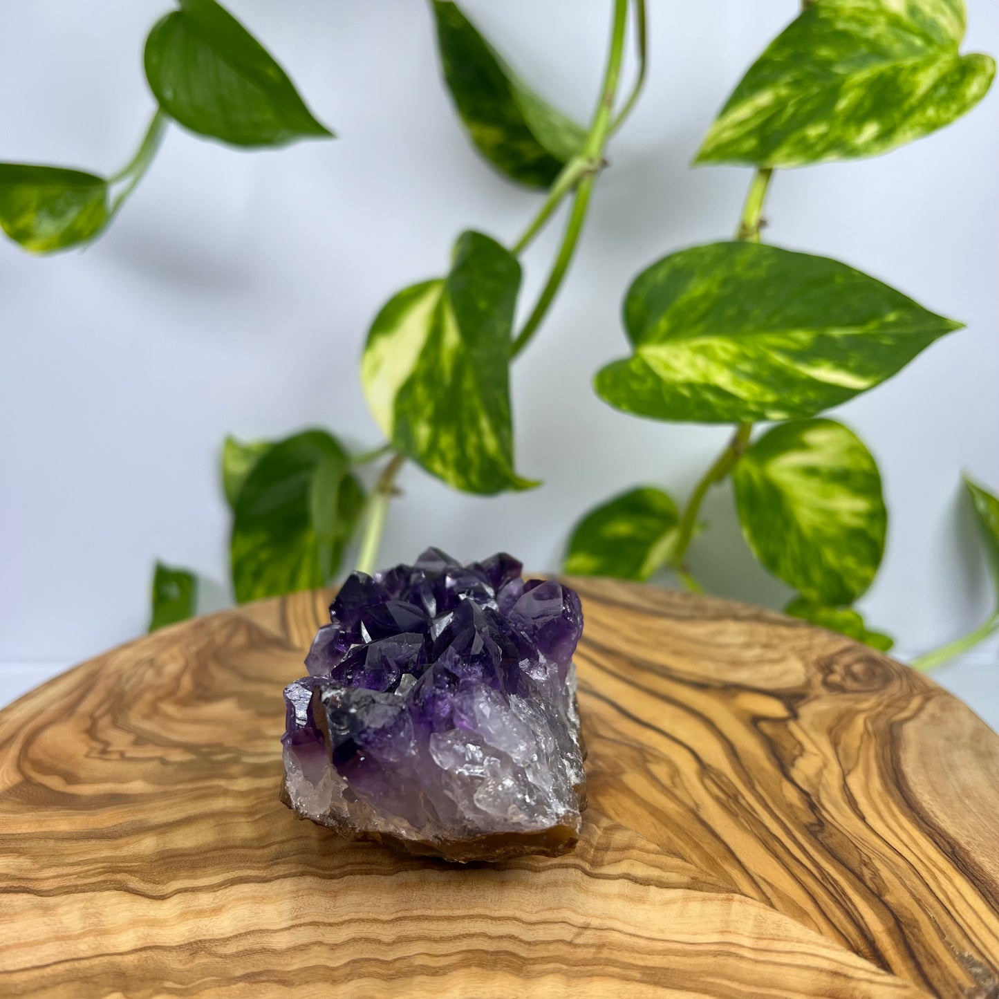 Amethyst Stück (#7)