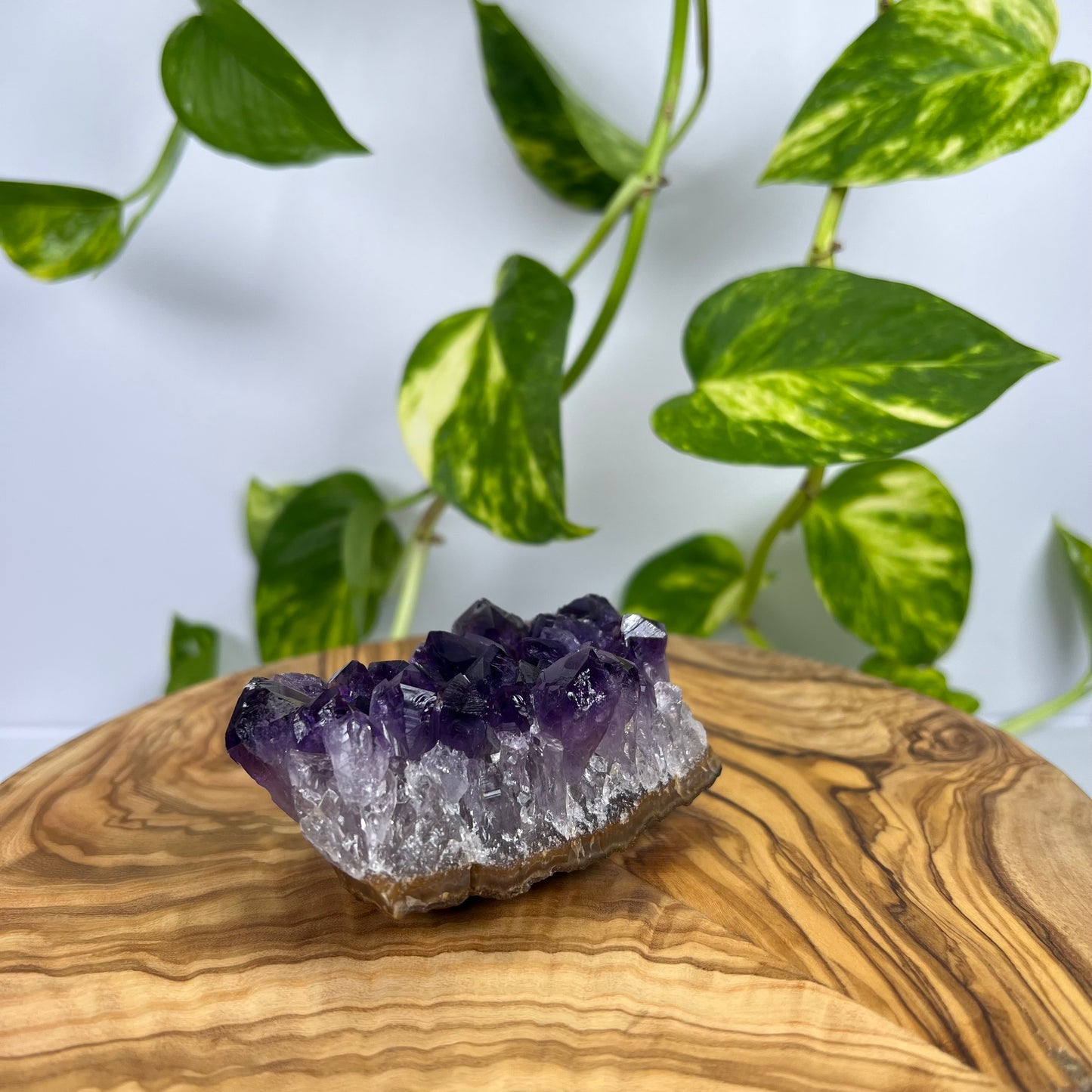 Amethyst Stück (#7)