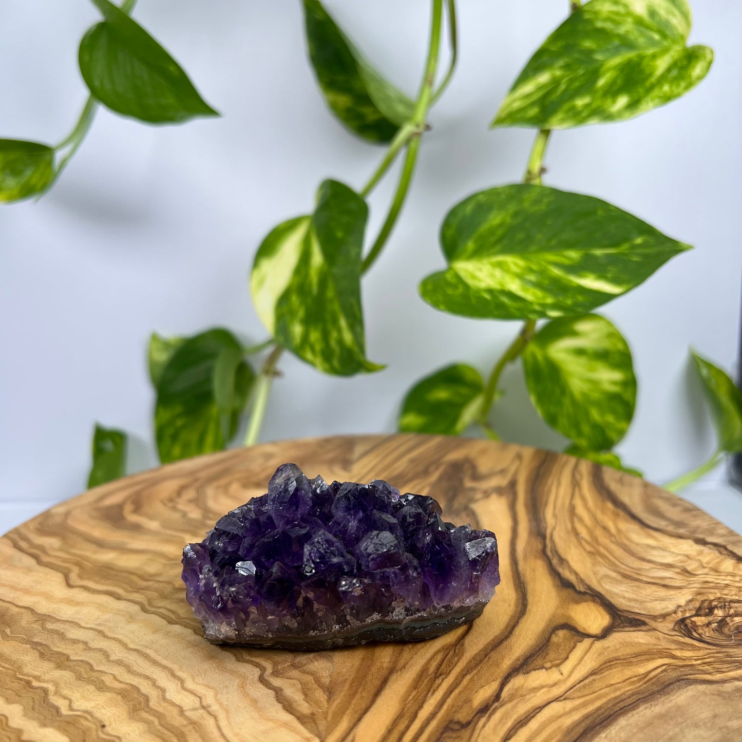 Amethyst Stück (#6)