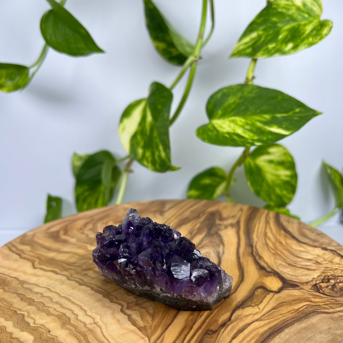 Amethyst Stück (#6)