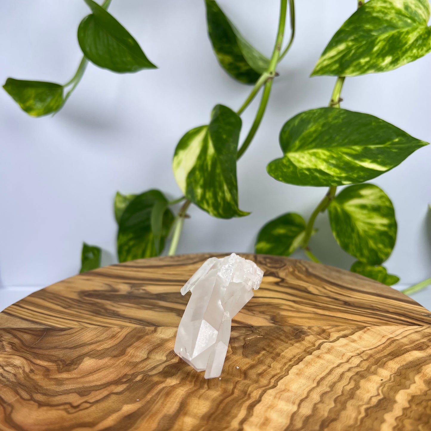 Bergkristall Spitze (#1)