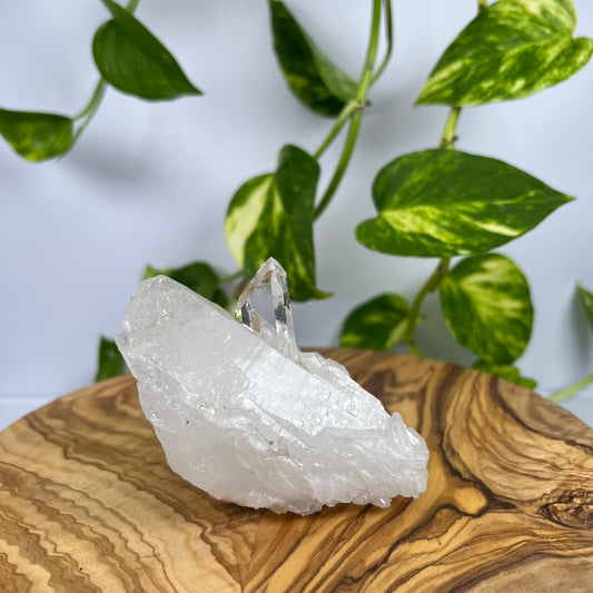 Bergkristall Spitze (#2)