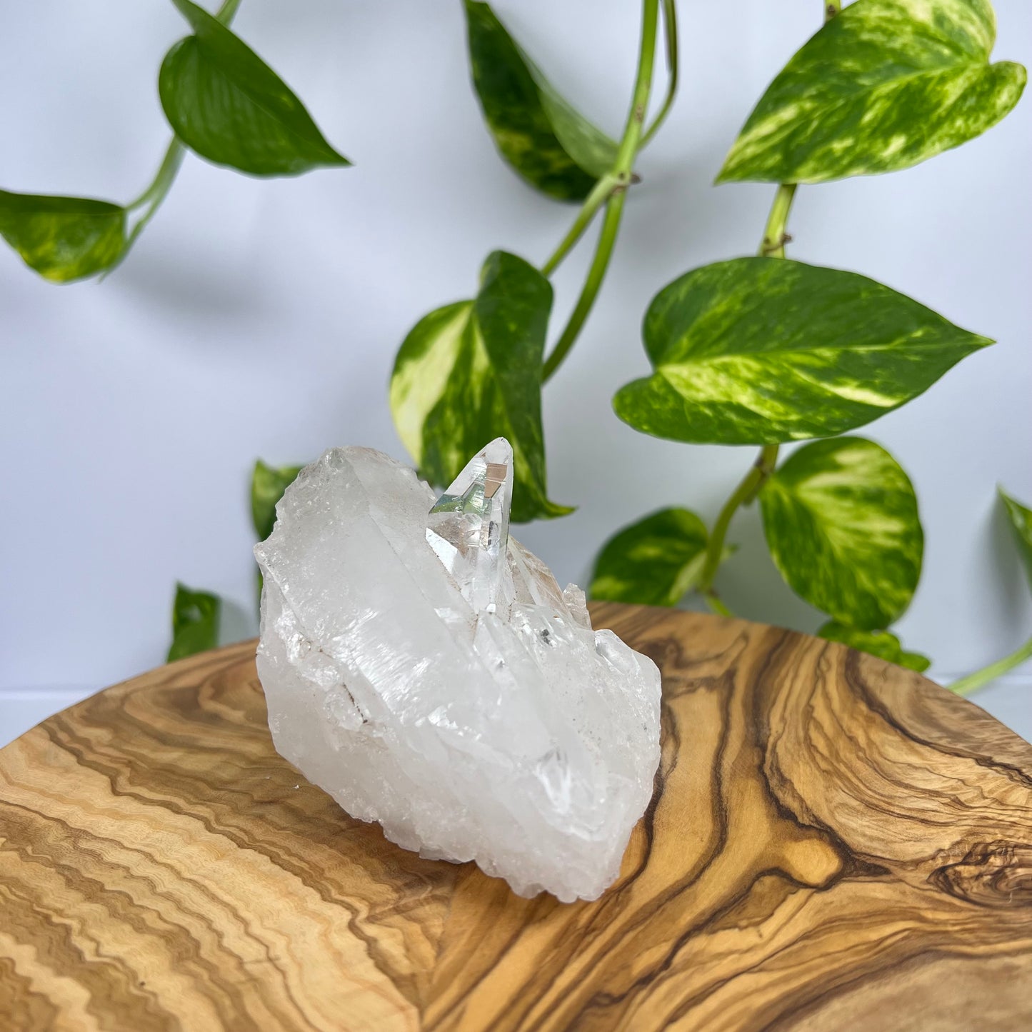 Bergkristall Spitze (#2)