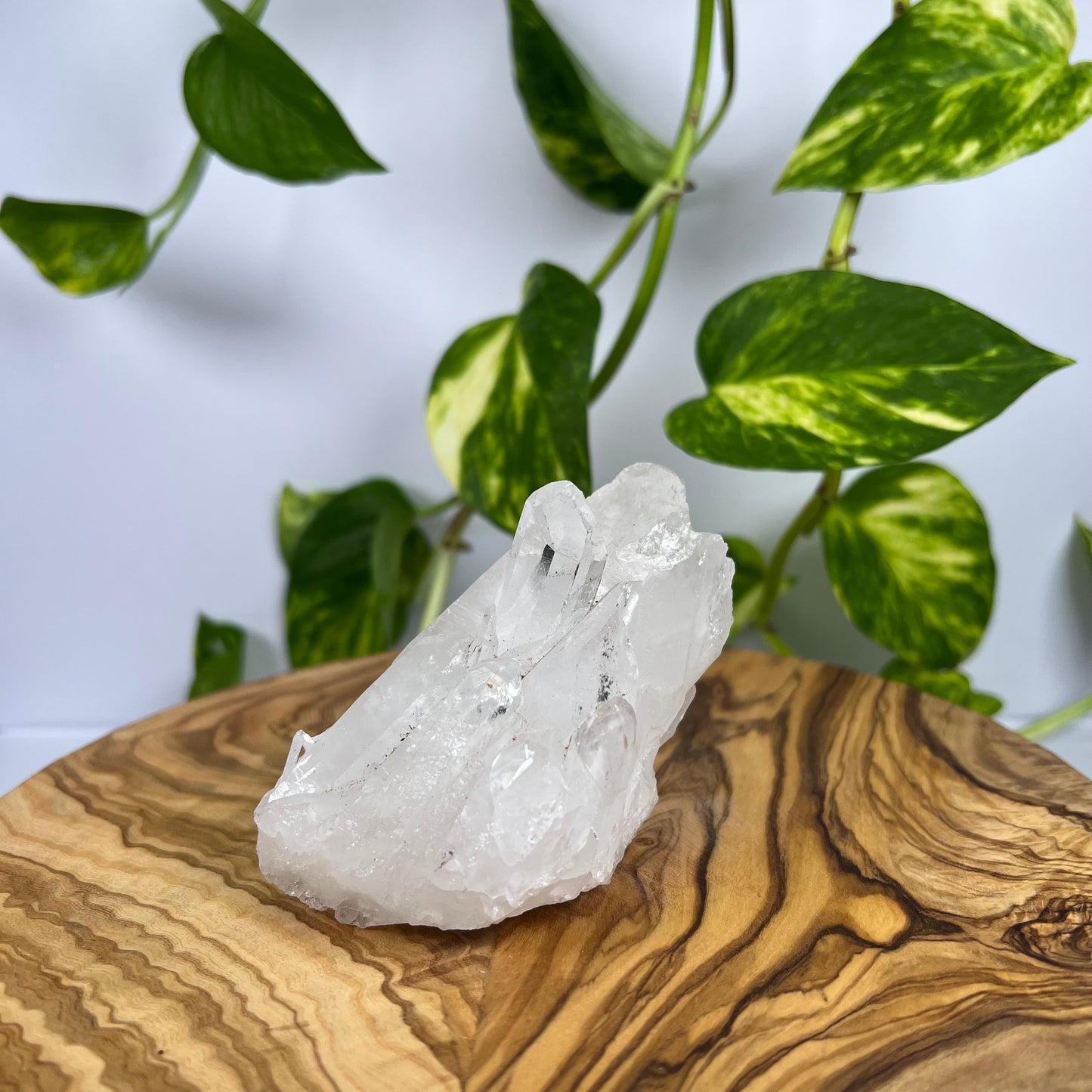 Bergkristall Spitze (#2)