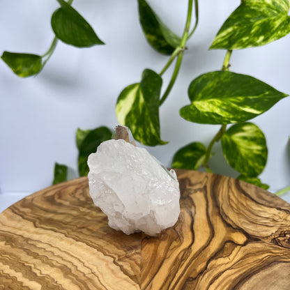 Bergkristall Spitze (#2)