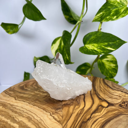 Bergkristall Spitze (#2)