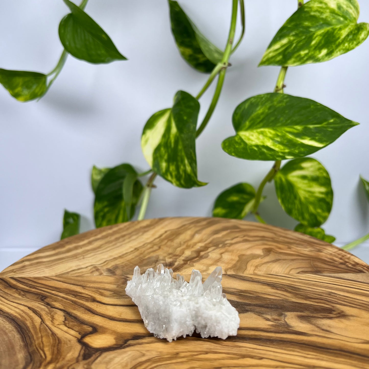 Bergkristall Spitze (#3)