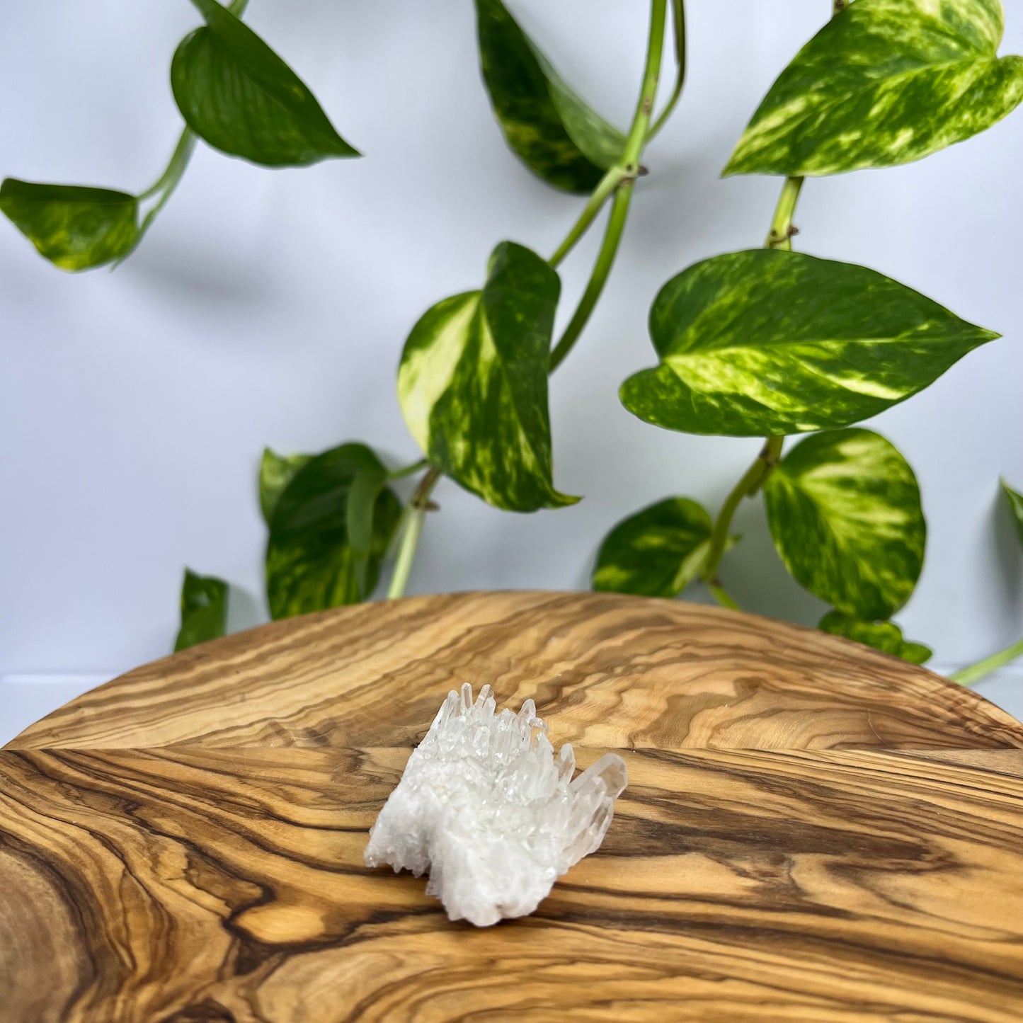 Bergkristall Spitze (#3)