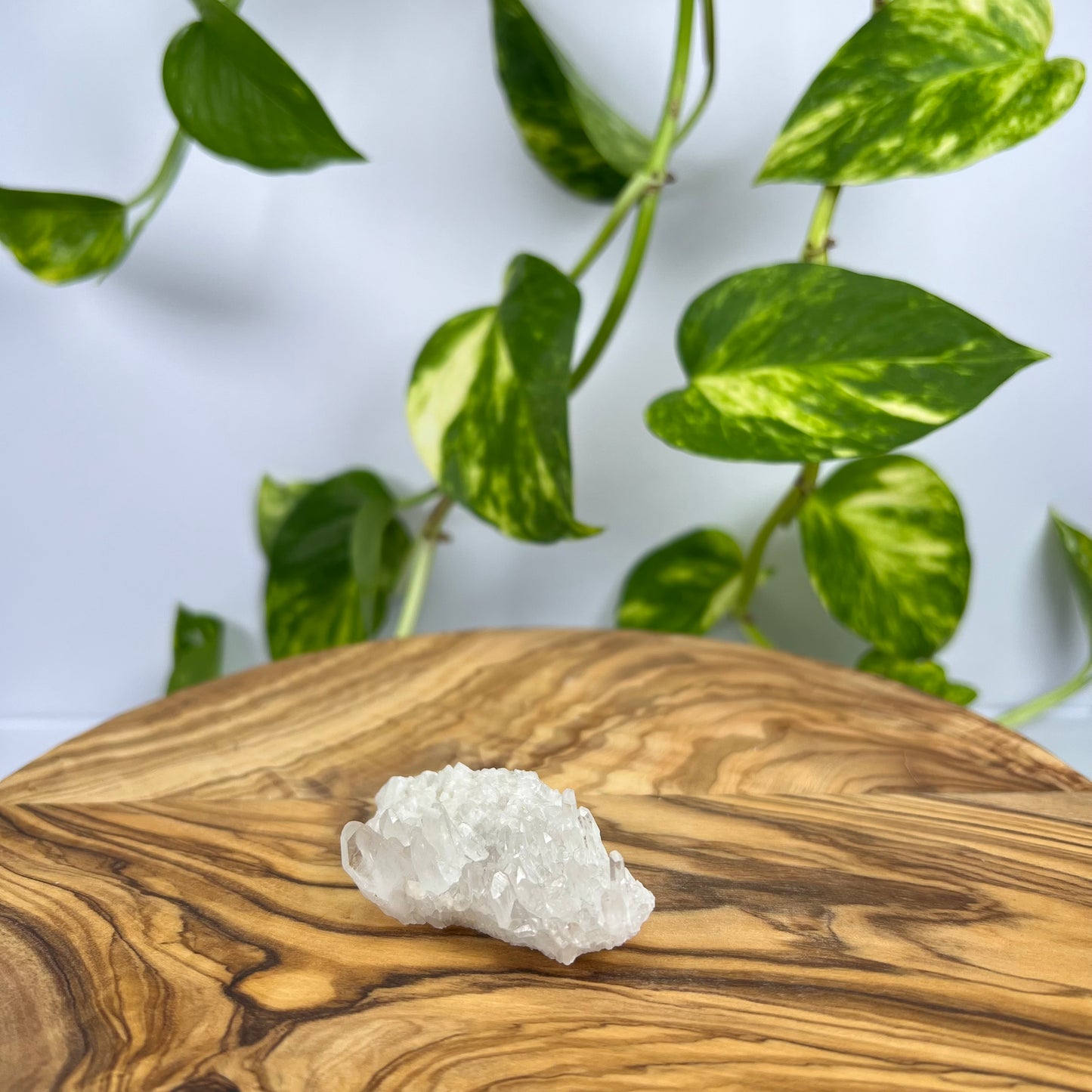 Bergkristall Spitze (#3)