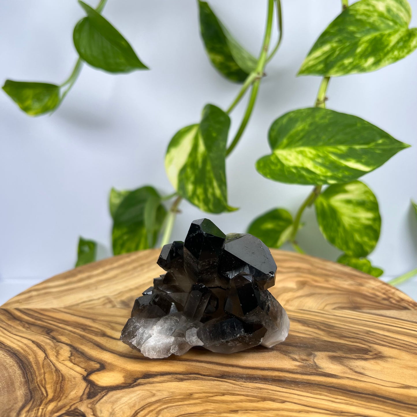 Rauchquarz Spitze (#1)