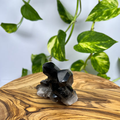 Rauchquarz Spitze (#1)