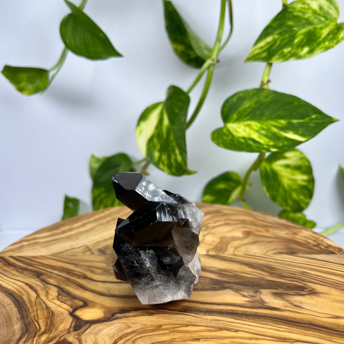 Rauchquarz Spitze (#1)