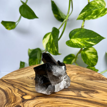 Rauchquarz Spitze (#1)