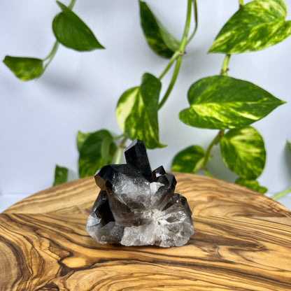 Rauchquarz Spitze (#1)