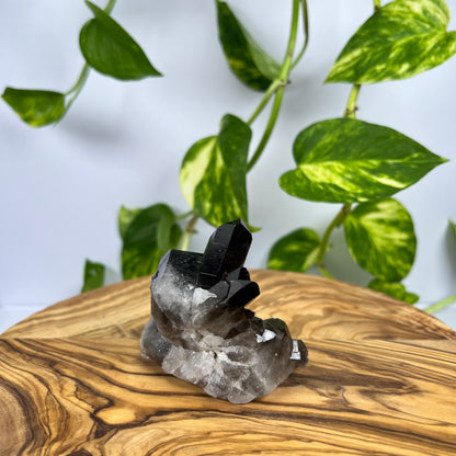 Rauchquarz Spitze (#1)