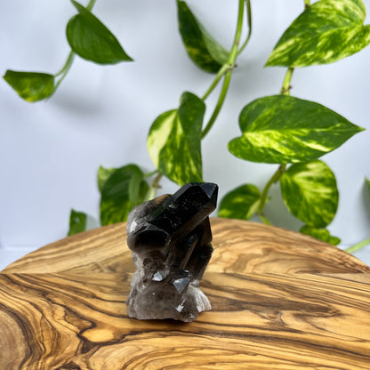 Rauchquarz Spitze (#1)