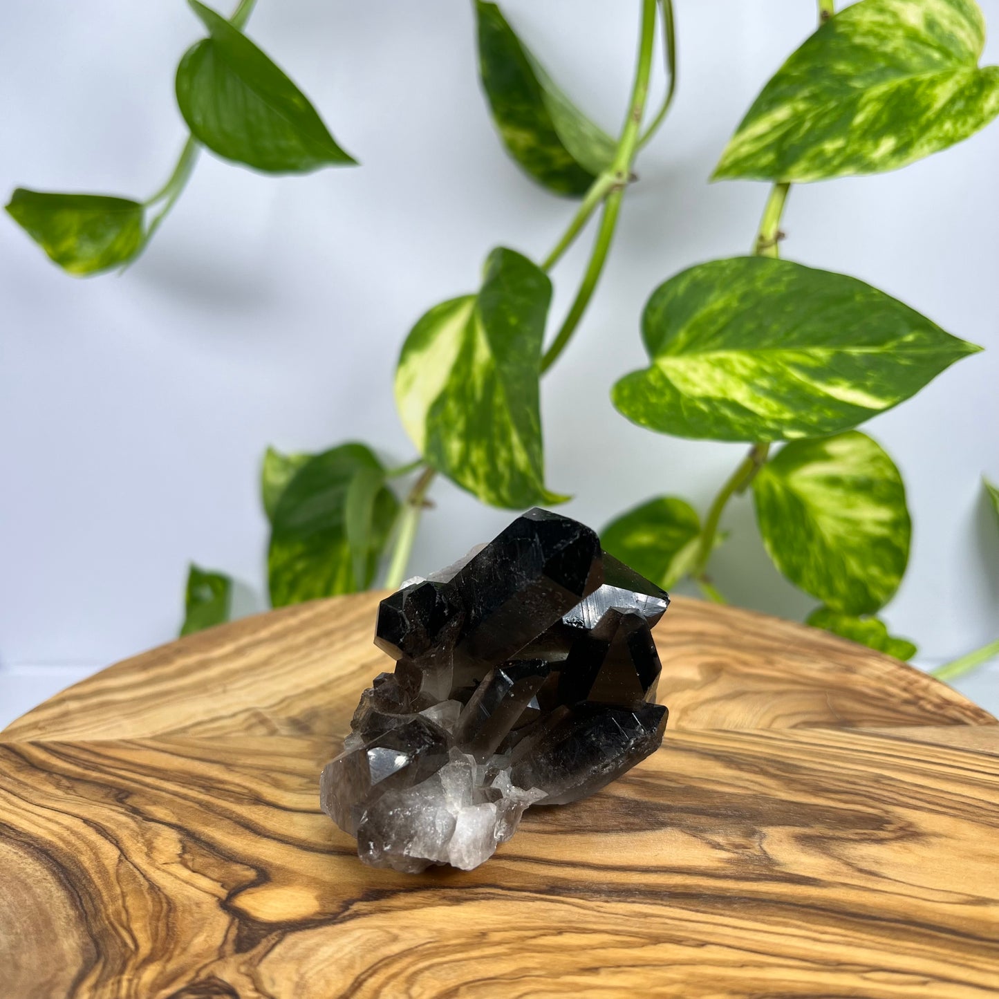 Rauchquarz Spitze (#1)